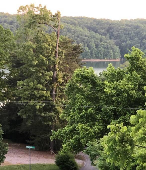 Driftwood Cottage With Hot Tub On Lake Cumberland Russell Springs 外观 照片
